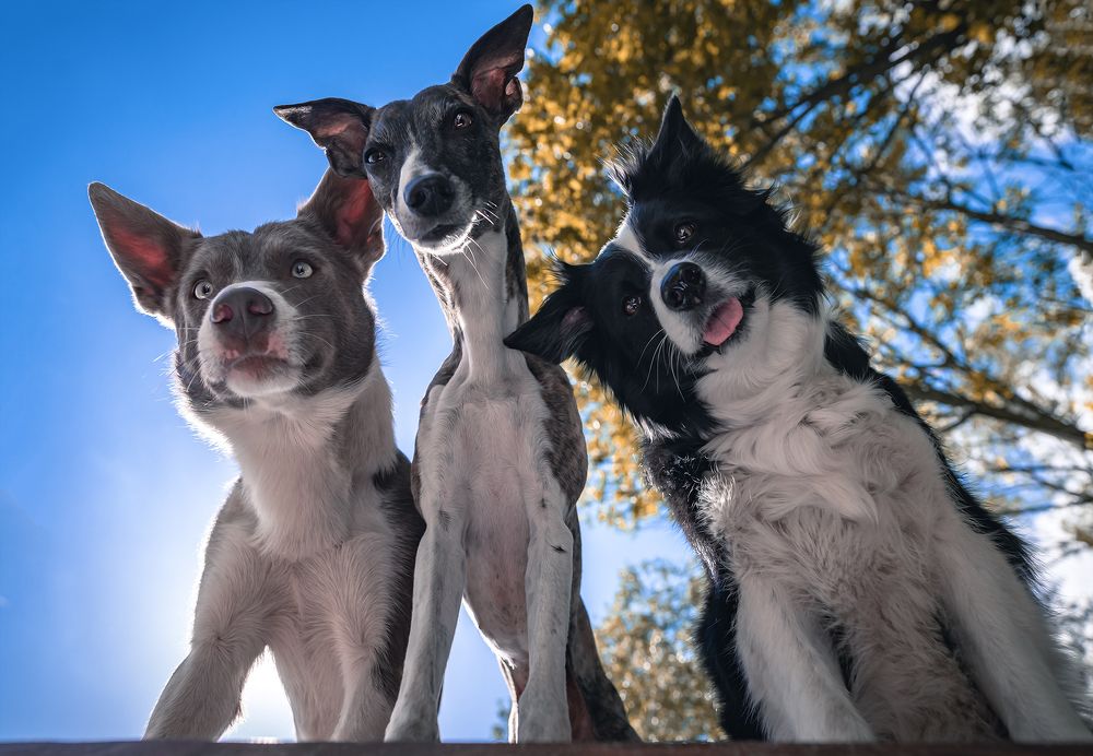 Photograph by Vladimir Smaženka