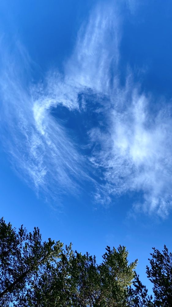 Photograph by Виктория Ярина