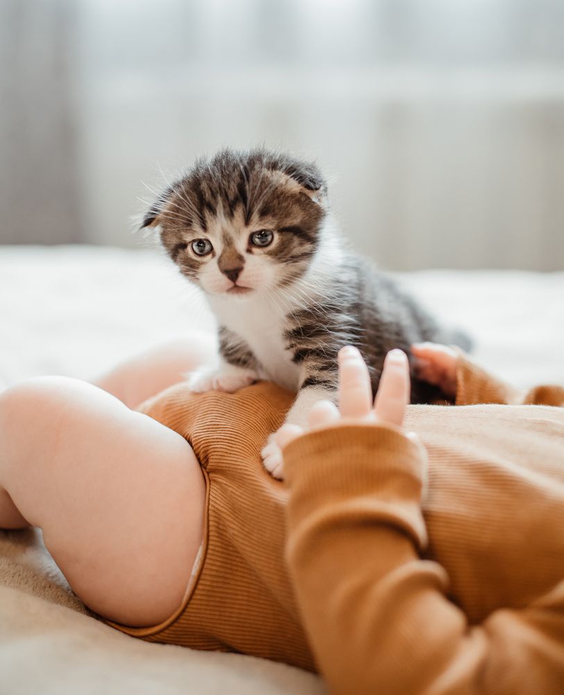 Photograph by Елена Тульчинская