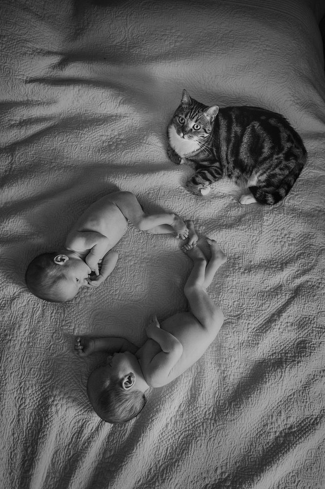 Photograph by Елена Тульчинская