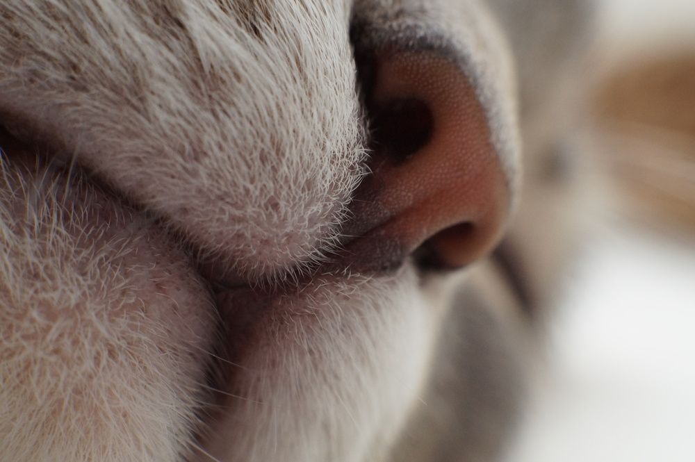 Photograph by Олег Каракин