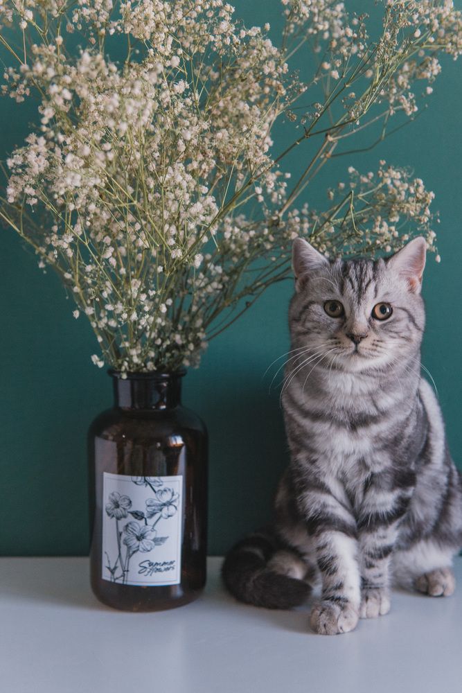 Photograph by Зухра Галиуллина