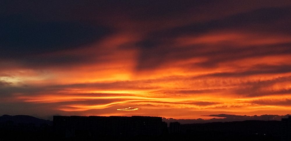 Photograph by Linda Brakus