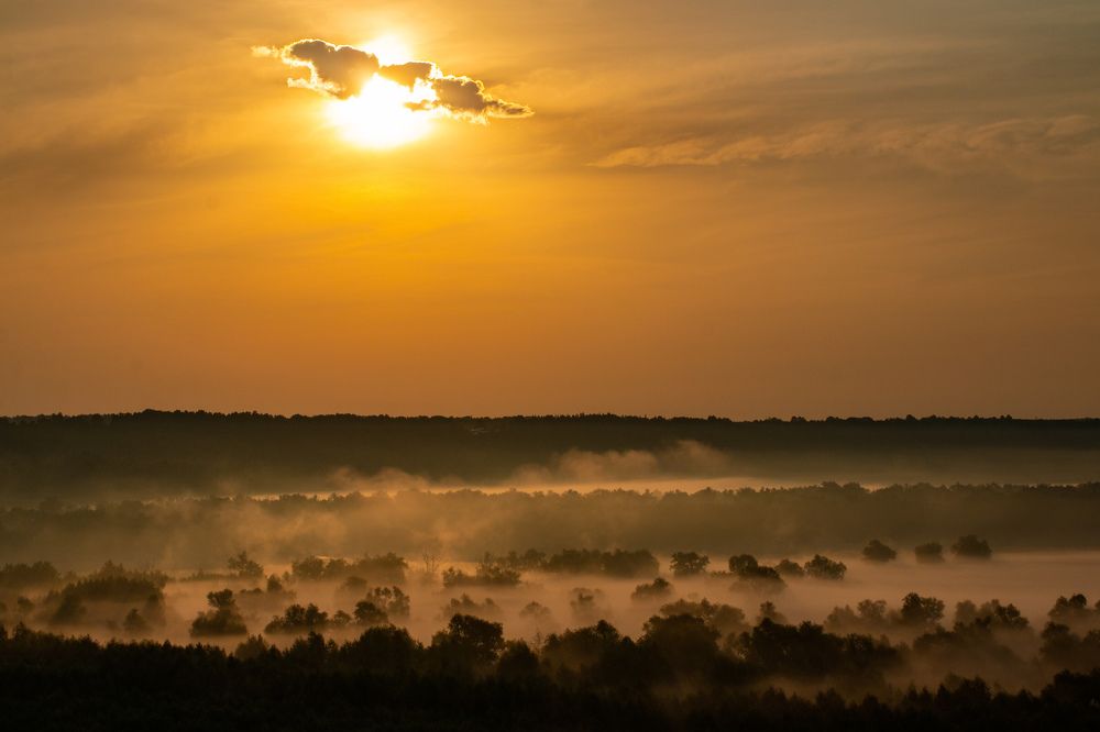 Утренний туман