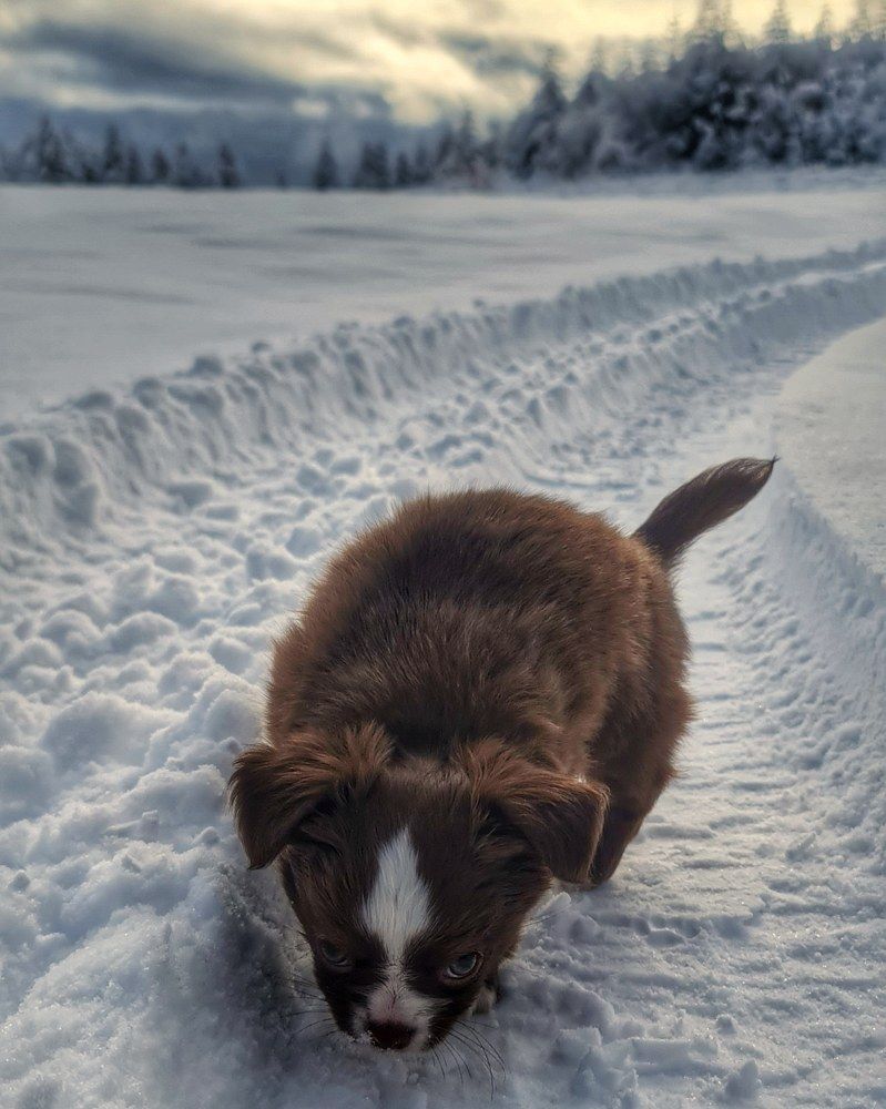 Первая встреча