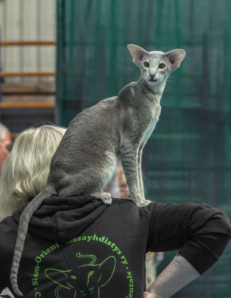 Photograph by juri kutukov