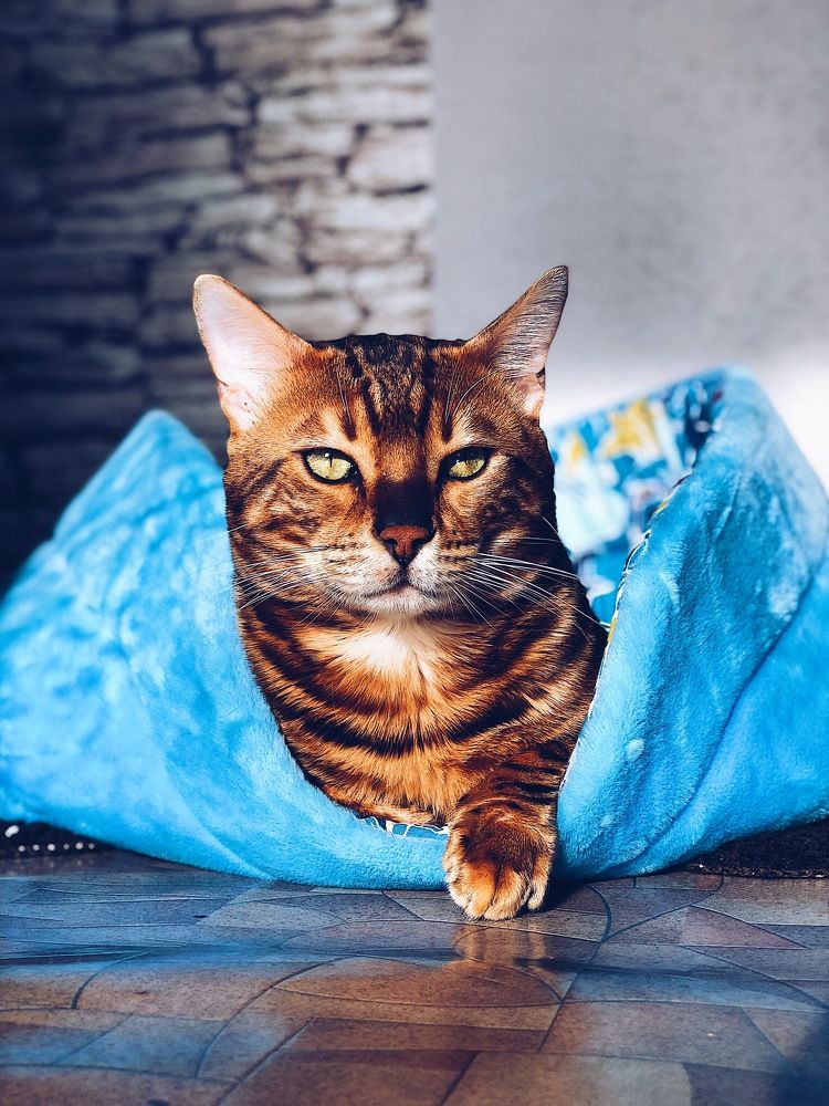 Photograph by Антон Лукин