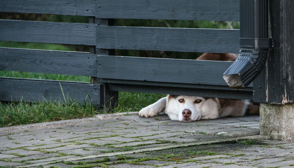 Photograph by juri kutukov