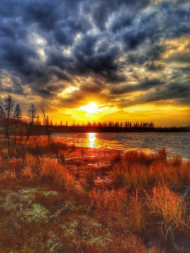 Фотография автора Савченко Наталия