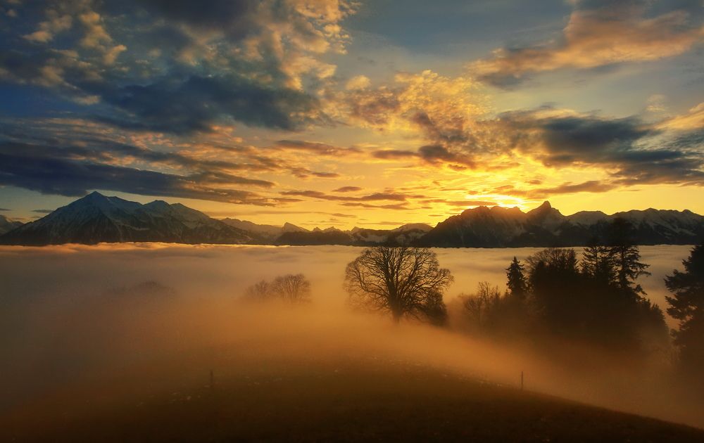 Photograph by Elena Wymann