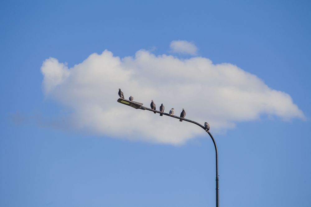 Photograph by Анастасия Занадворова