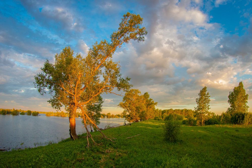 Photograph by Денис Григорьев