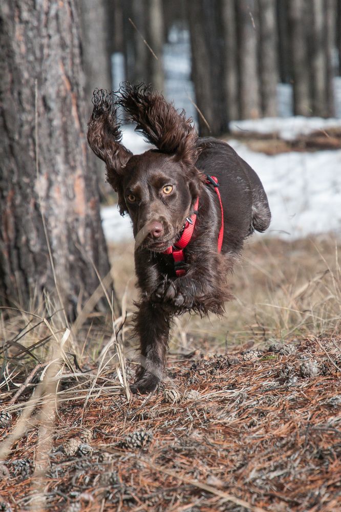 Photograph by Динара Зуйкова