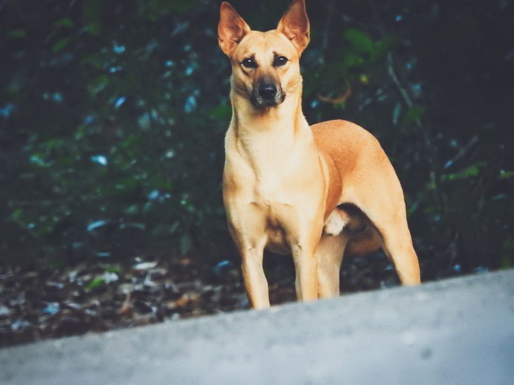 Photograph by Wilvia Dsouza