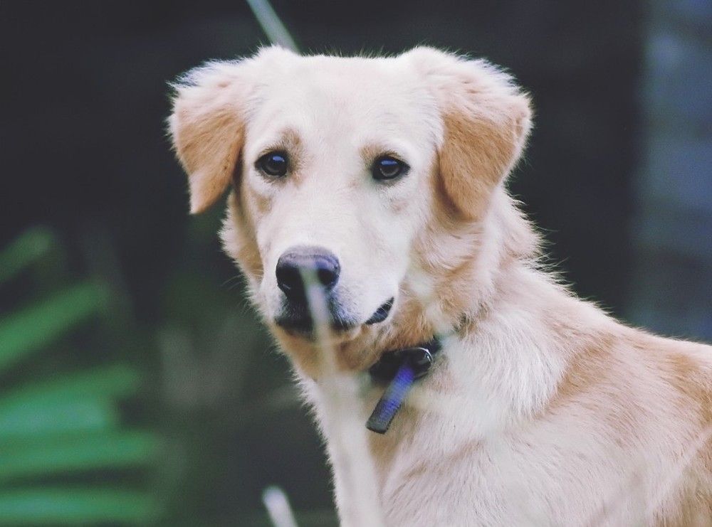 Photograph by Wilvia Dsouza