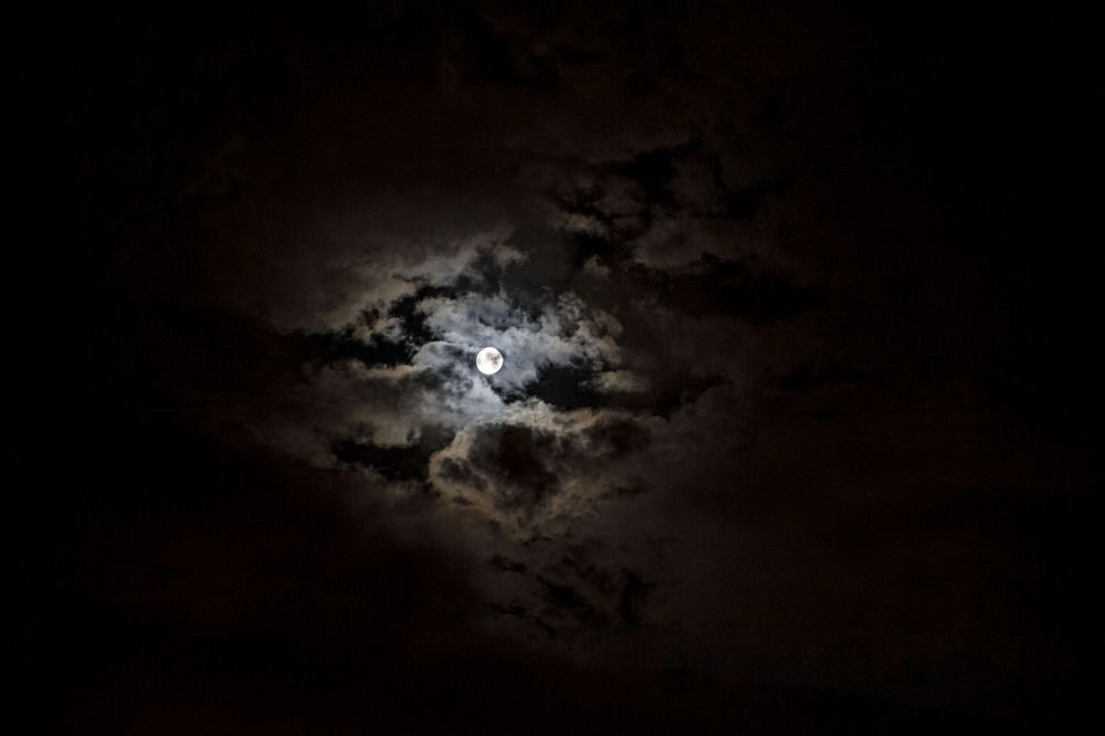 Photograph by Анастасия Занадворова