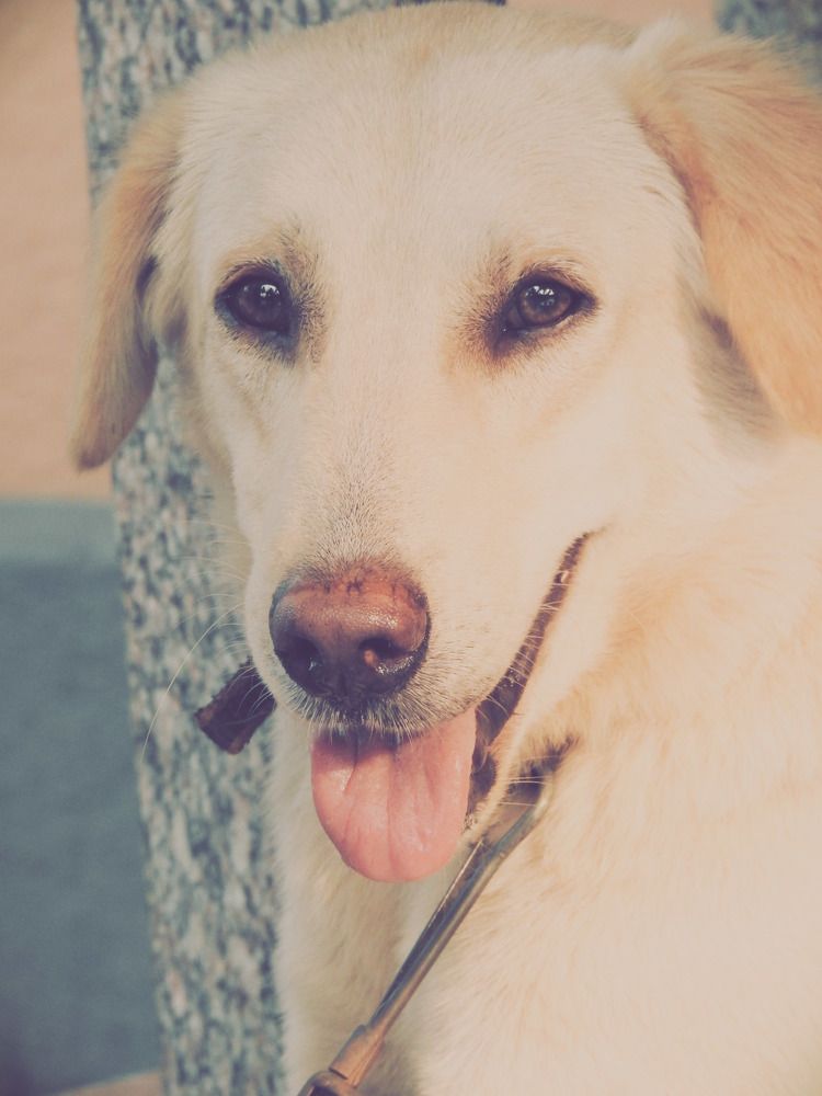 Photograph by Wilvia Dsouza