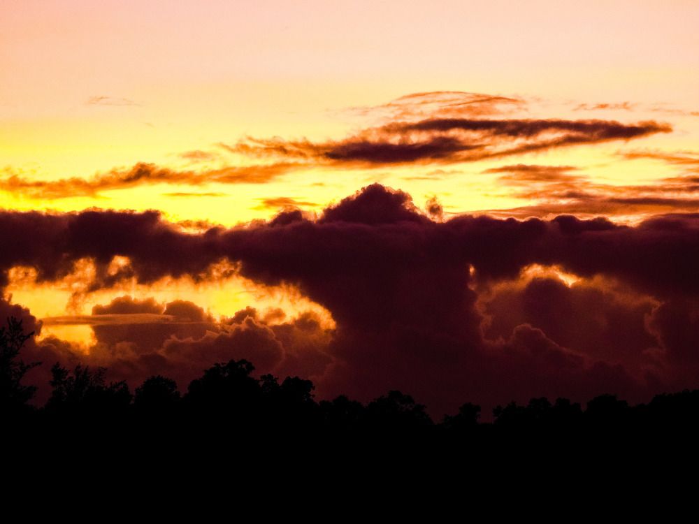 Photograph by Wilvia Dsouza