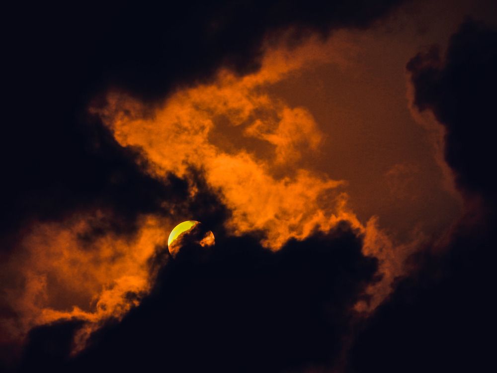 Photograph by Wilvia Dsouza