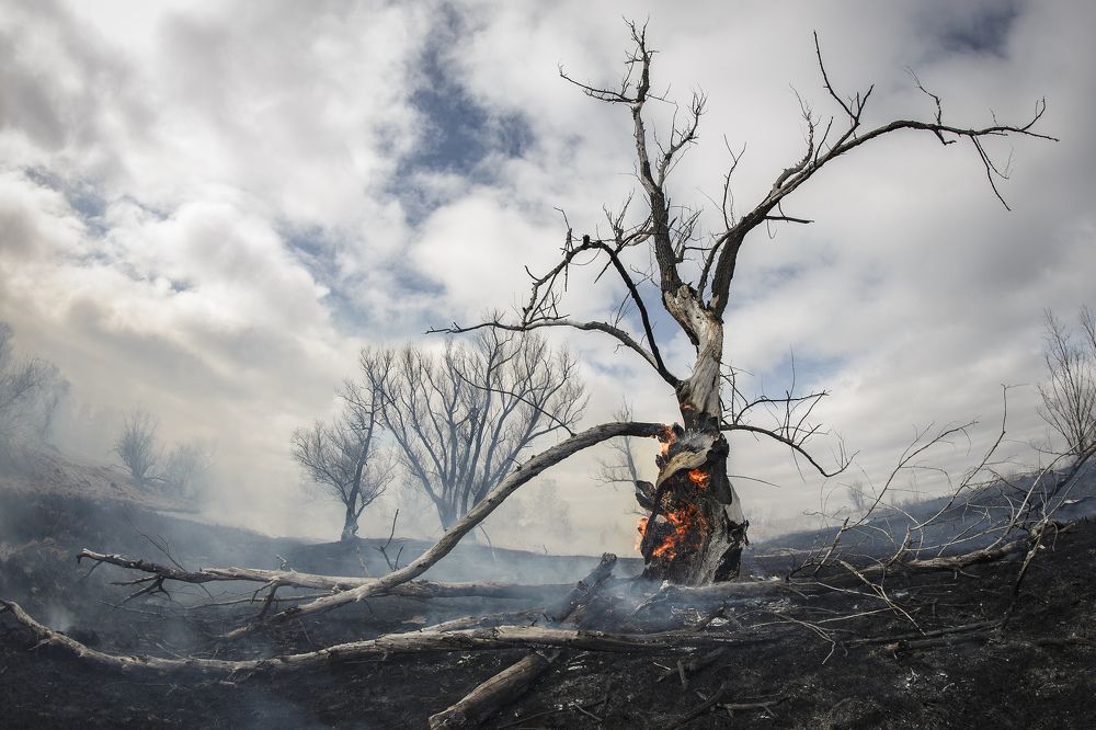 Огонь пожирающий