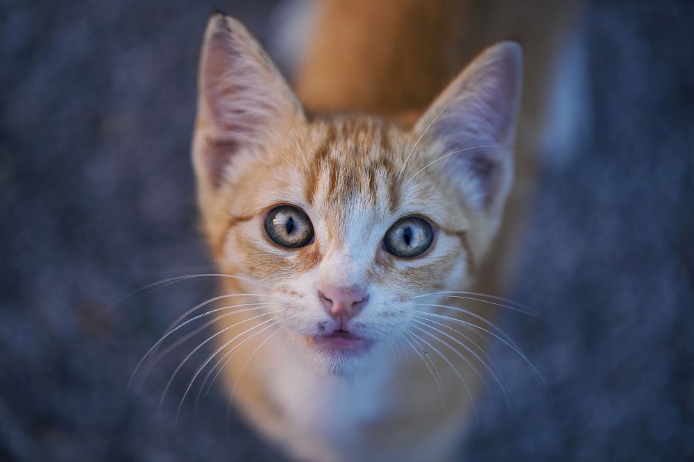 Photograph by Sandra Eunice