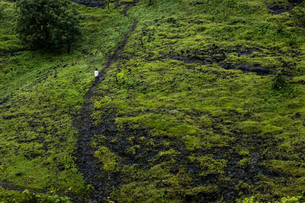 Photograph by Saneet kumar goud Konduri