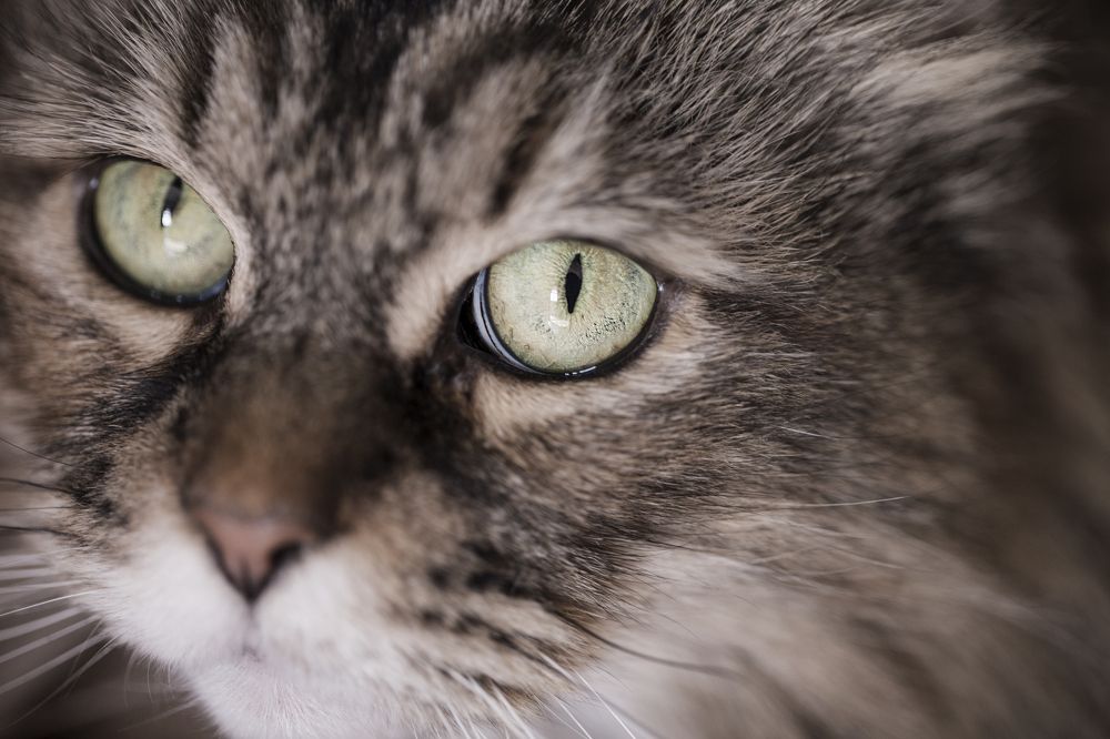 Photograph by Sandra Eunice