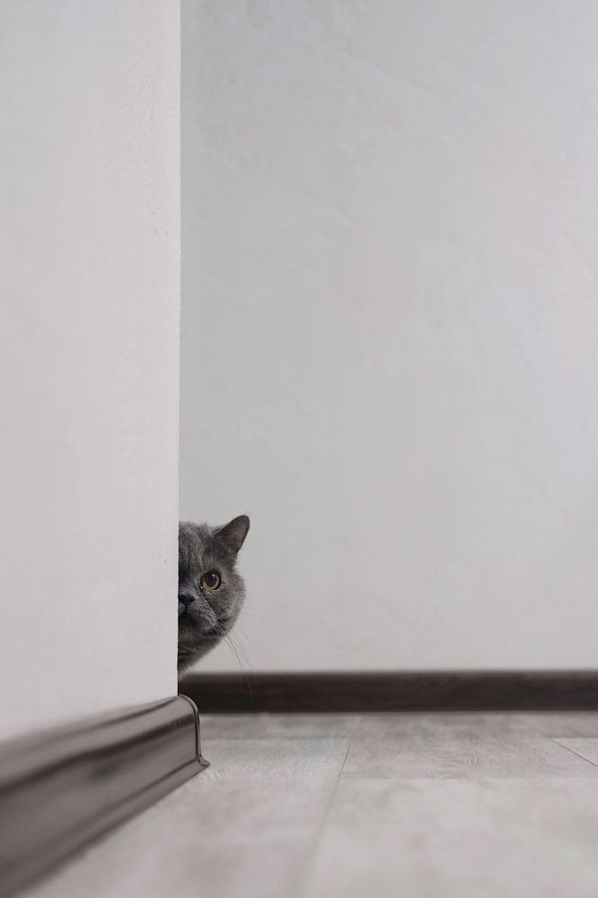 Photograph by Svetlana Geynts