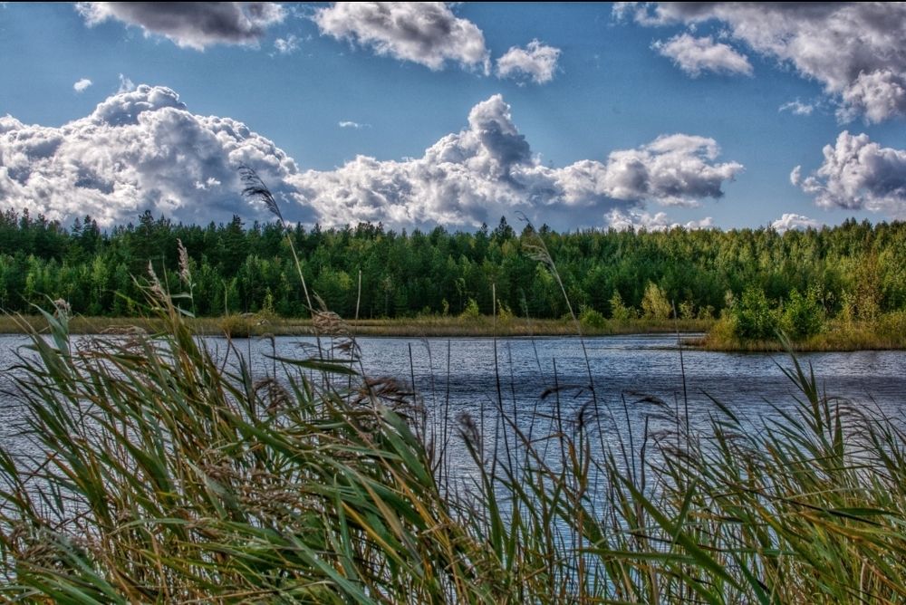 Photograph by Сергей Грицков