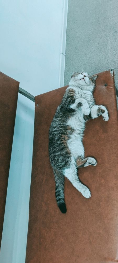 Photograph by Максим Чибисов