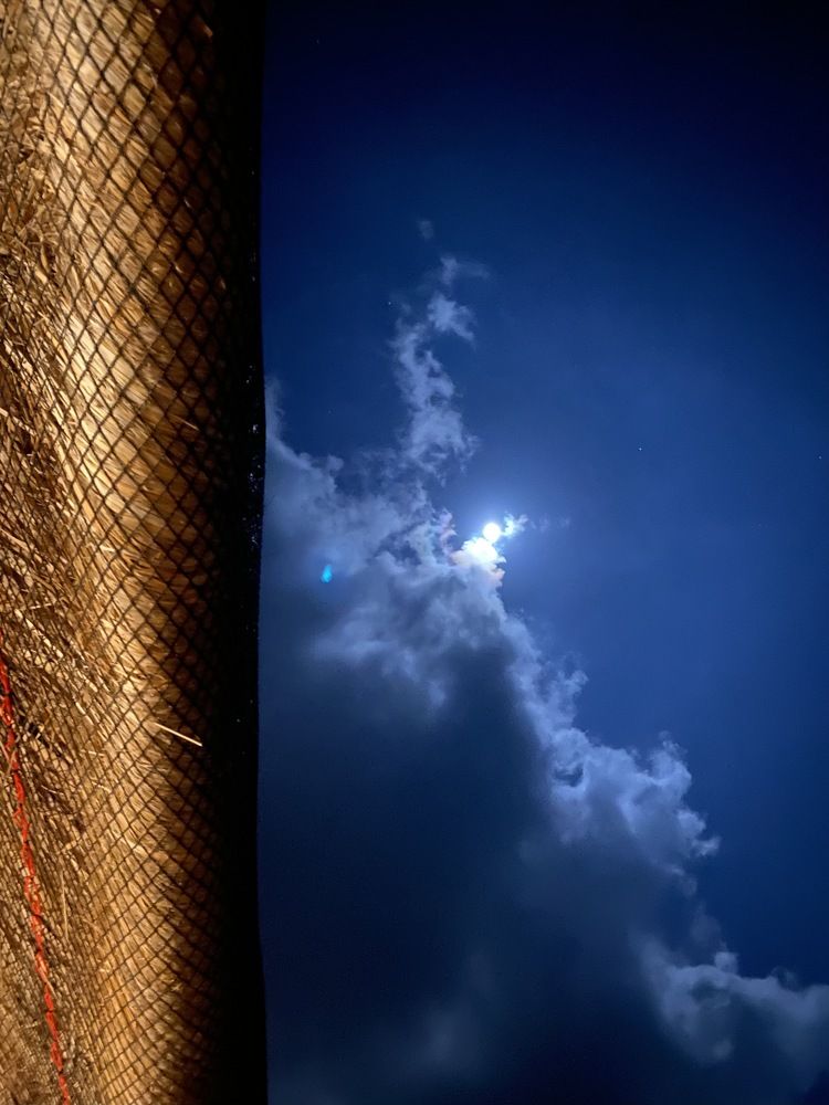 Look Up!