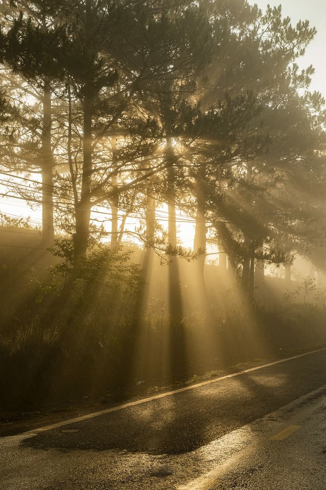 Photograph by Thien Pham