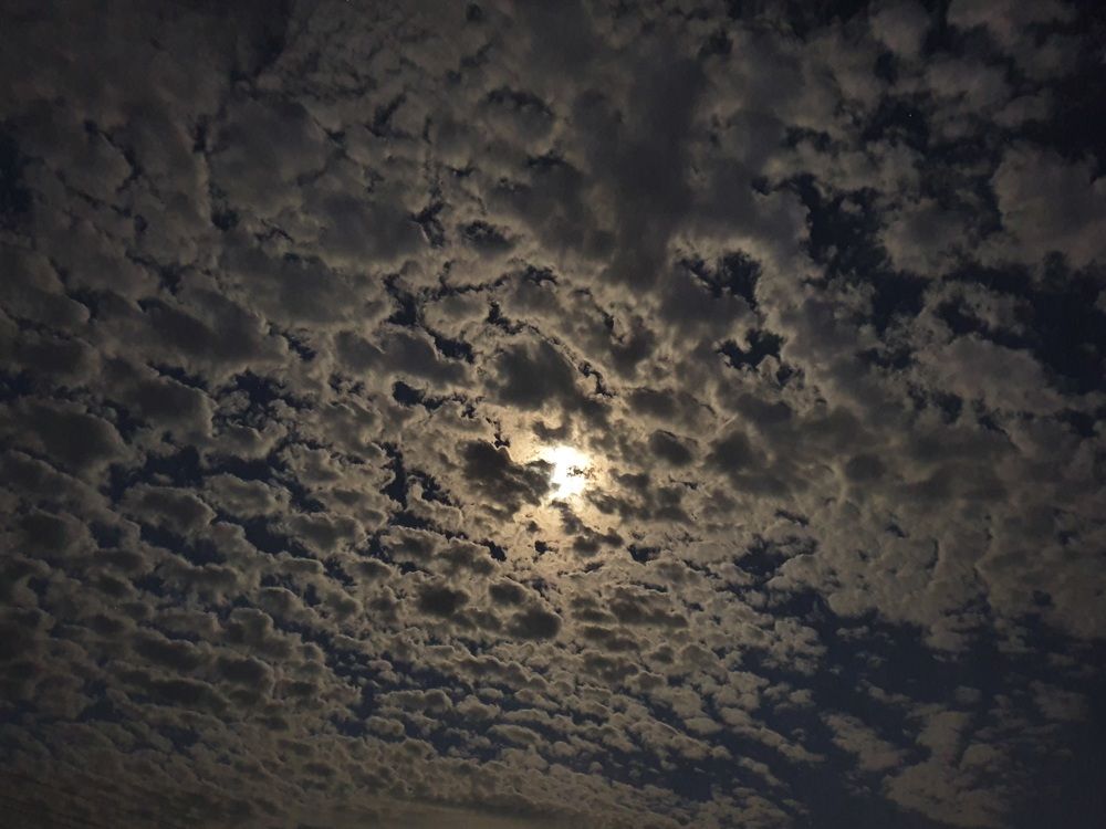 Photograph by Krishna Kunwar