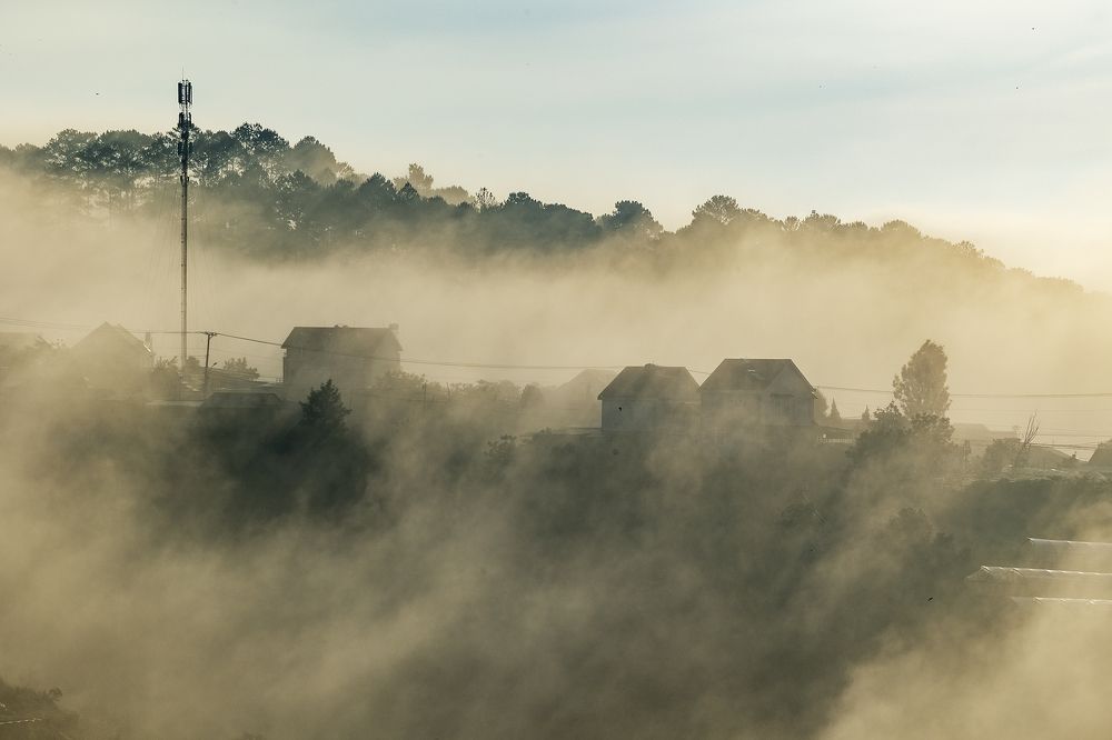 Photograph by Thien Pham