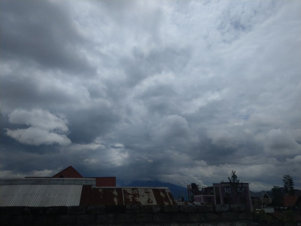 Photo #6069938