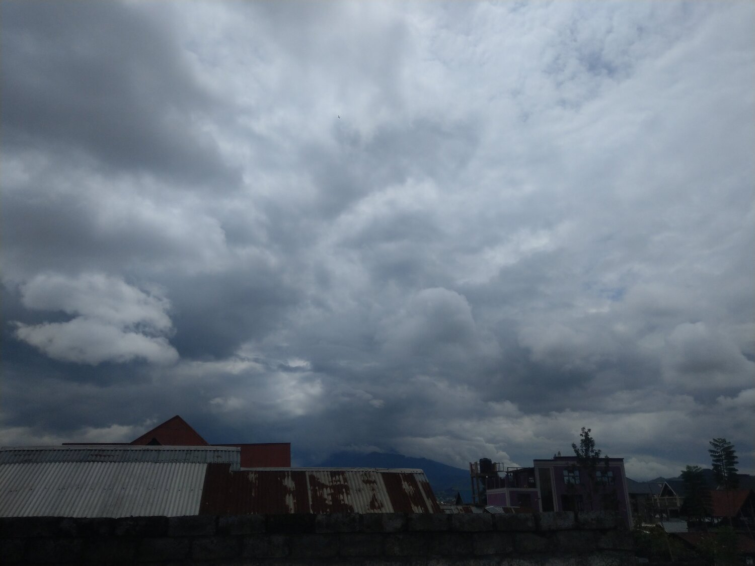 Photo #6069938