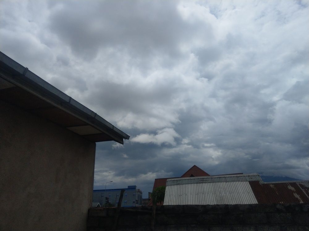Photo #6069945