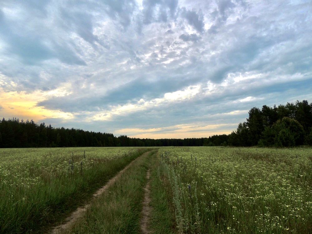 Photograph by Марина Романцова