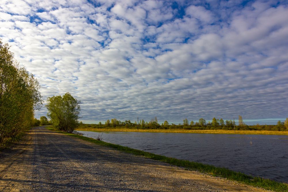 Photograph by Денис Григорьев