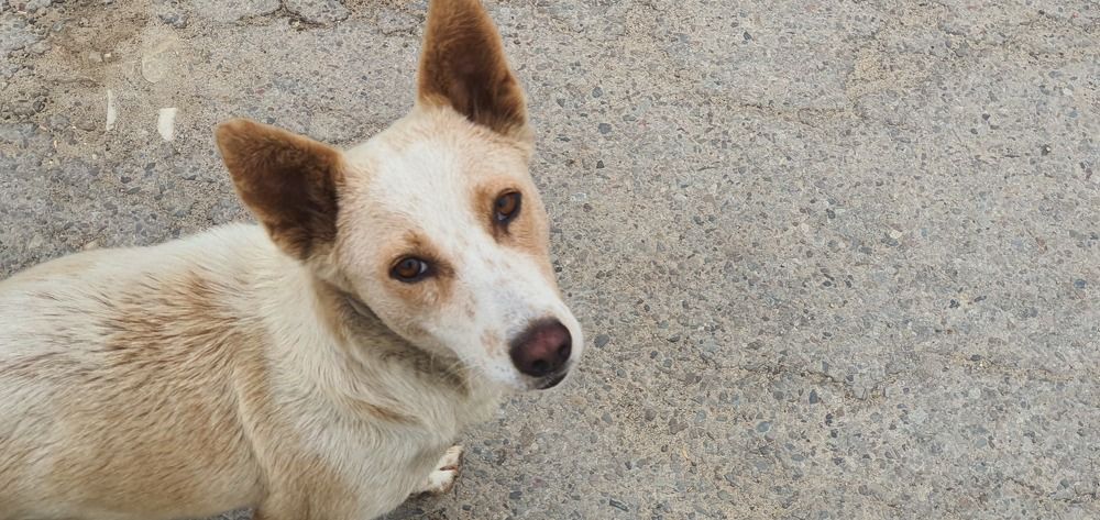 Photograph by Krishna Kunwar