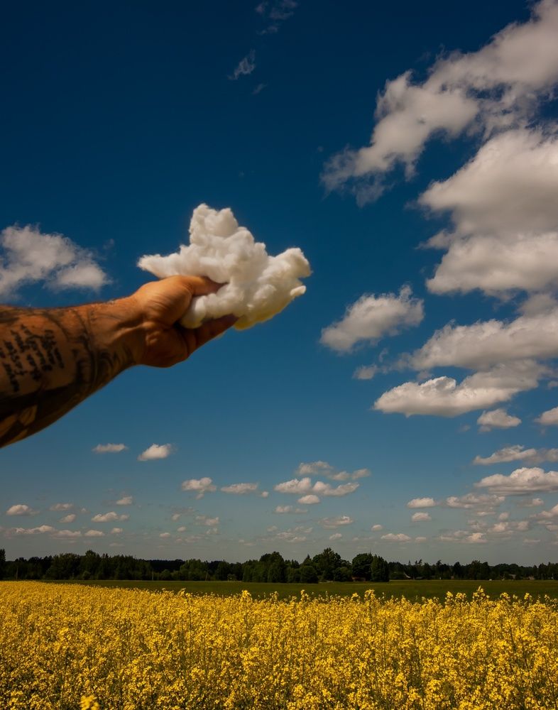 Photograph by Andres Almre