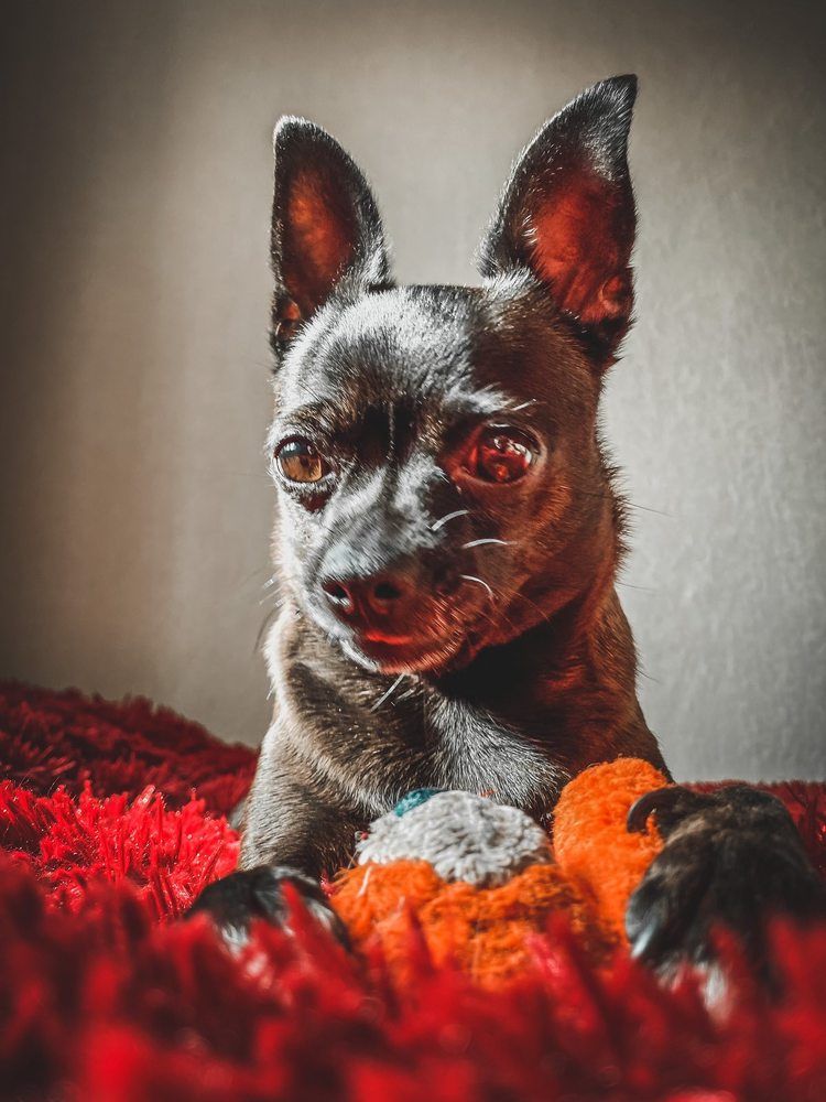 Photograph by Татьяна Пальчикова