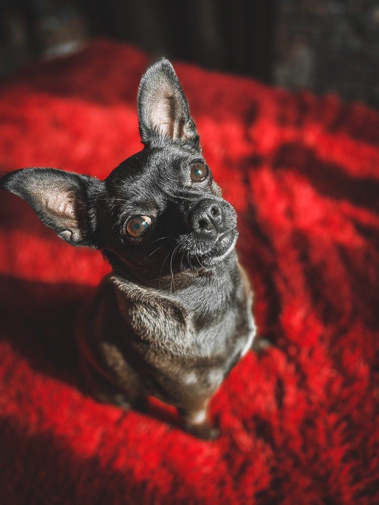 Photograph by Татьяна Пальчикова