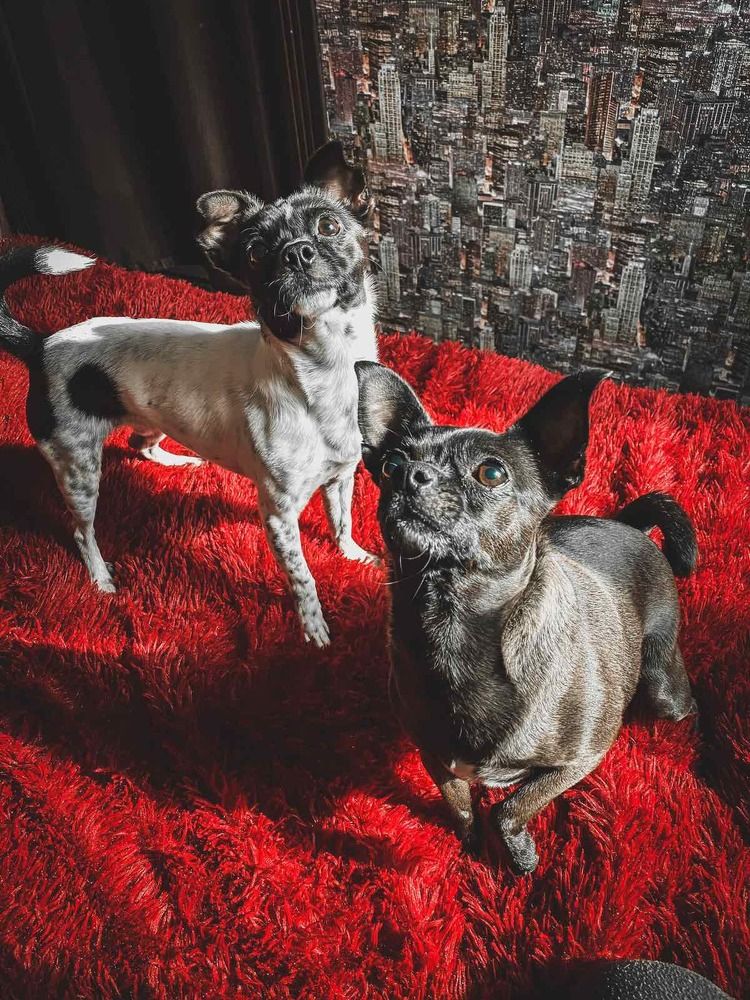 Photograph by Татьяна Пальчикова