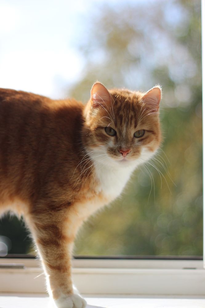 Photograph by Елена Петрова