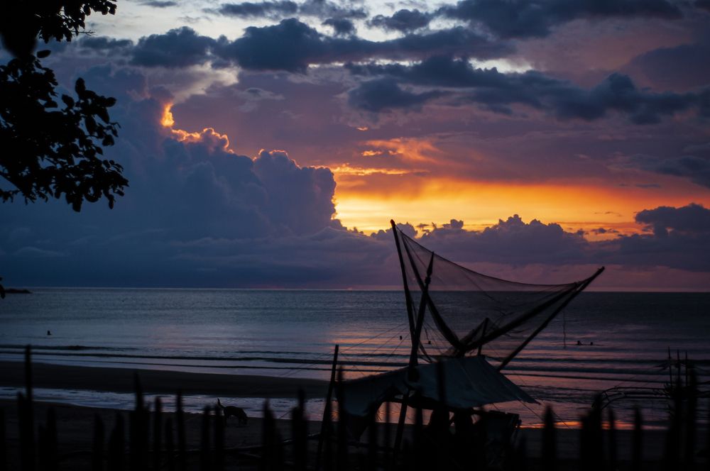 Photograph by Sevedeo Borda III