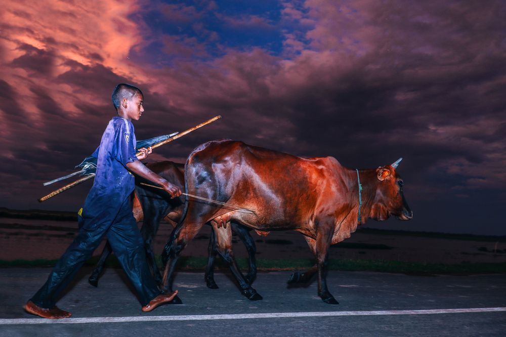 Photograph by Rezaul Hayat