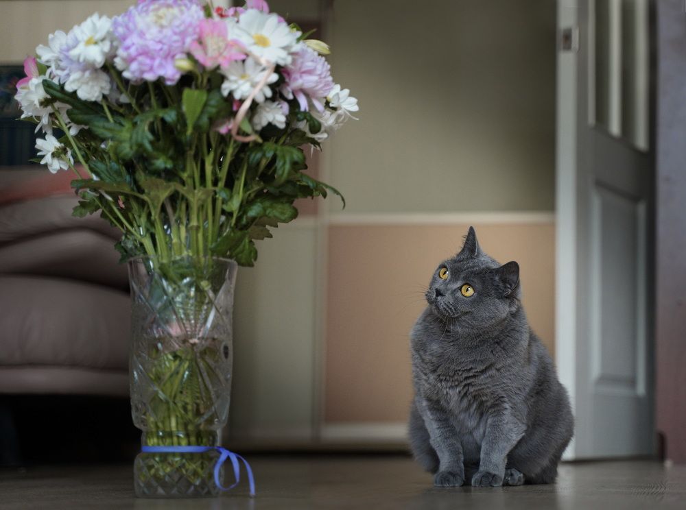 Интересно, это съедобно?