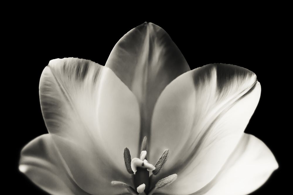 Photograph by Ирина Кротова