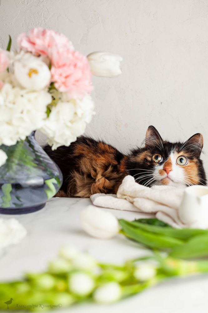 Photograph by Александра Куликова